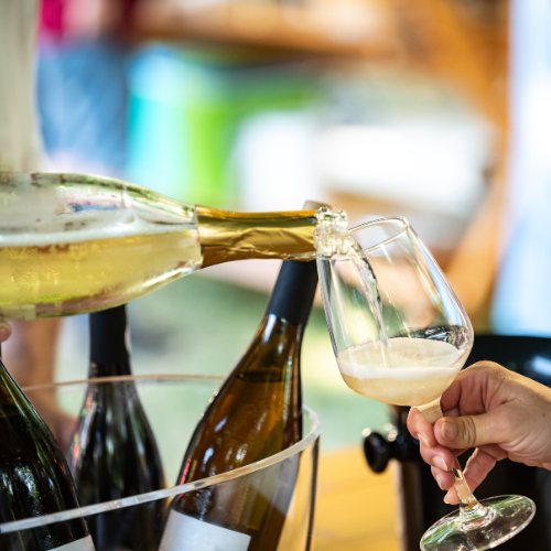 Bubbels & Borrel sprankelende wijnproeverij op locatie